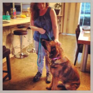 dog owner training dog